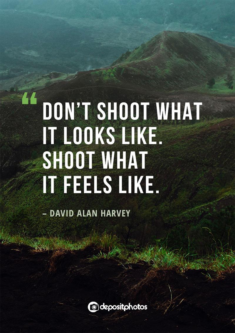 35 Inspirational and Uplifting Quotes About Photography