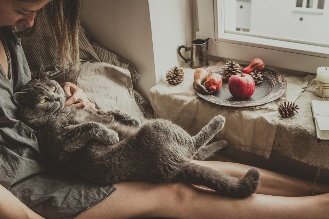 Cozy home. Woman with cute cat sitting in bed by the window
