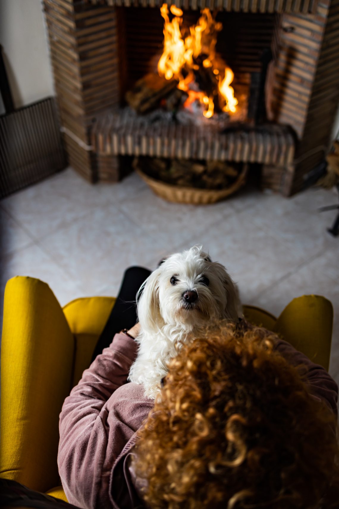 Senior woman wit her dog in front of the fireplace