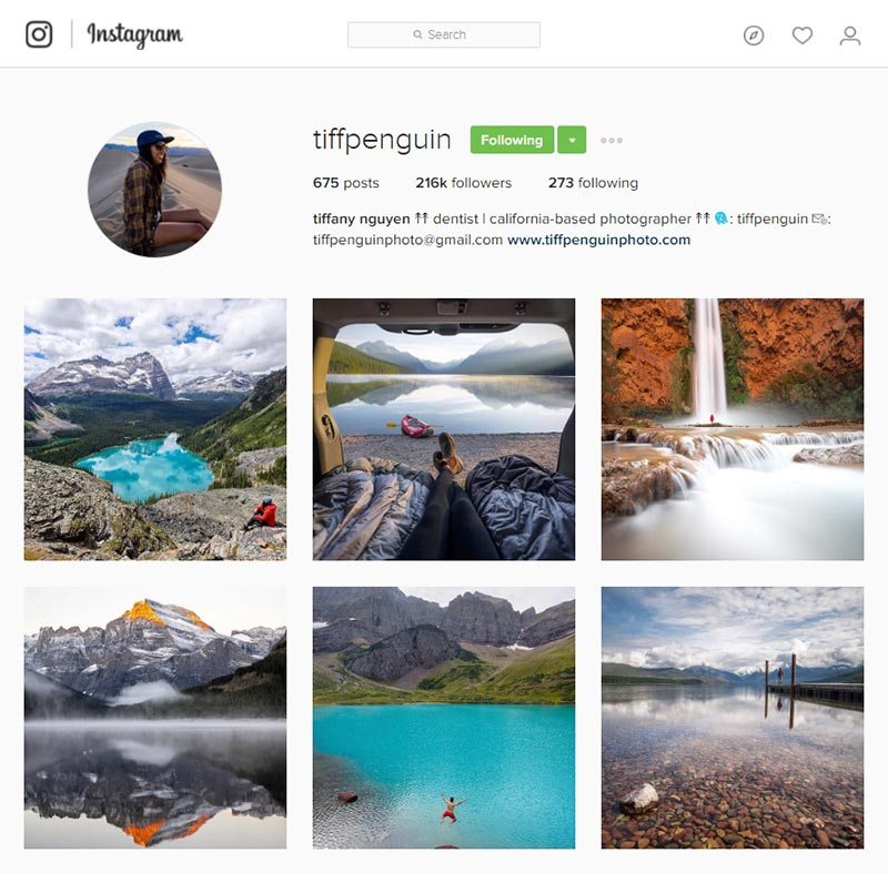 tiffpenguin-inspiring-instagram-accounts-for-photographers
