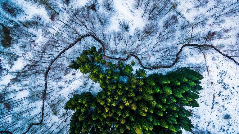 drone-photography-contest-winner-nature-and-wildlife