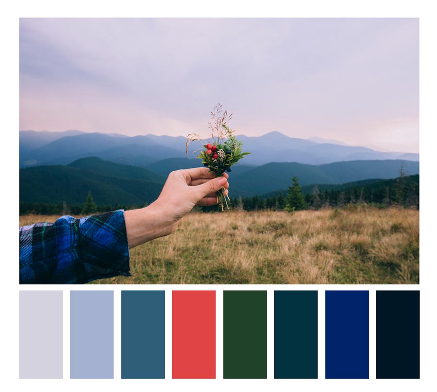 photography color palette