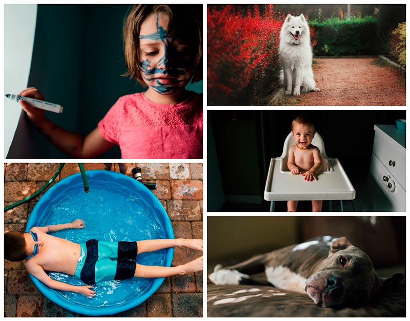kids-and-dogs-collage