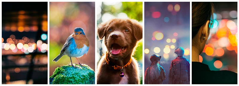 featured-collection-bokeh-effect