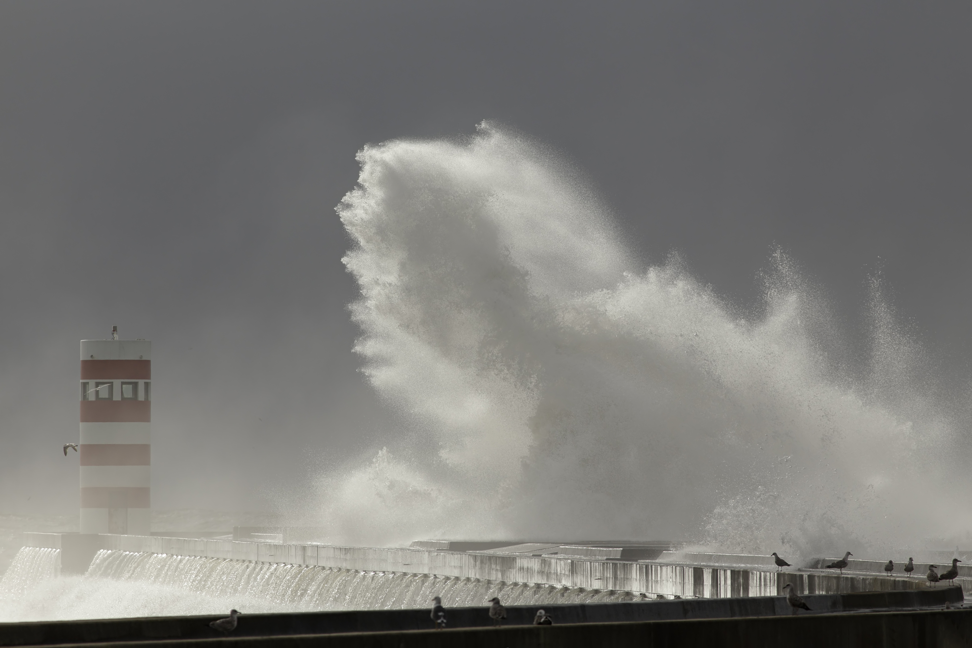 Фото огромная волна шторм Мегалофобия