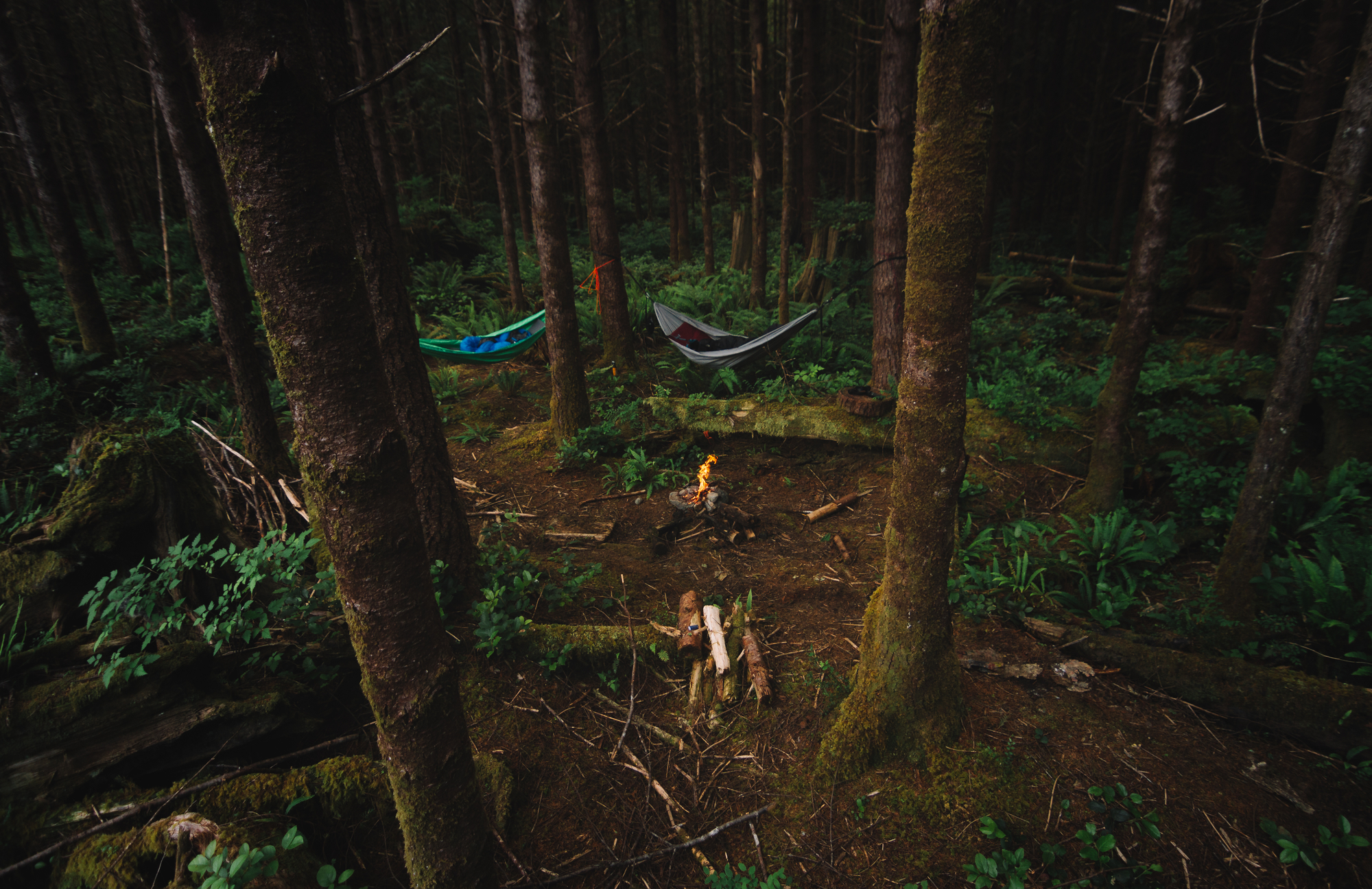 Фото кемпинг в лесу