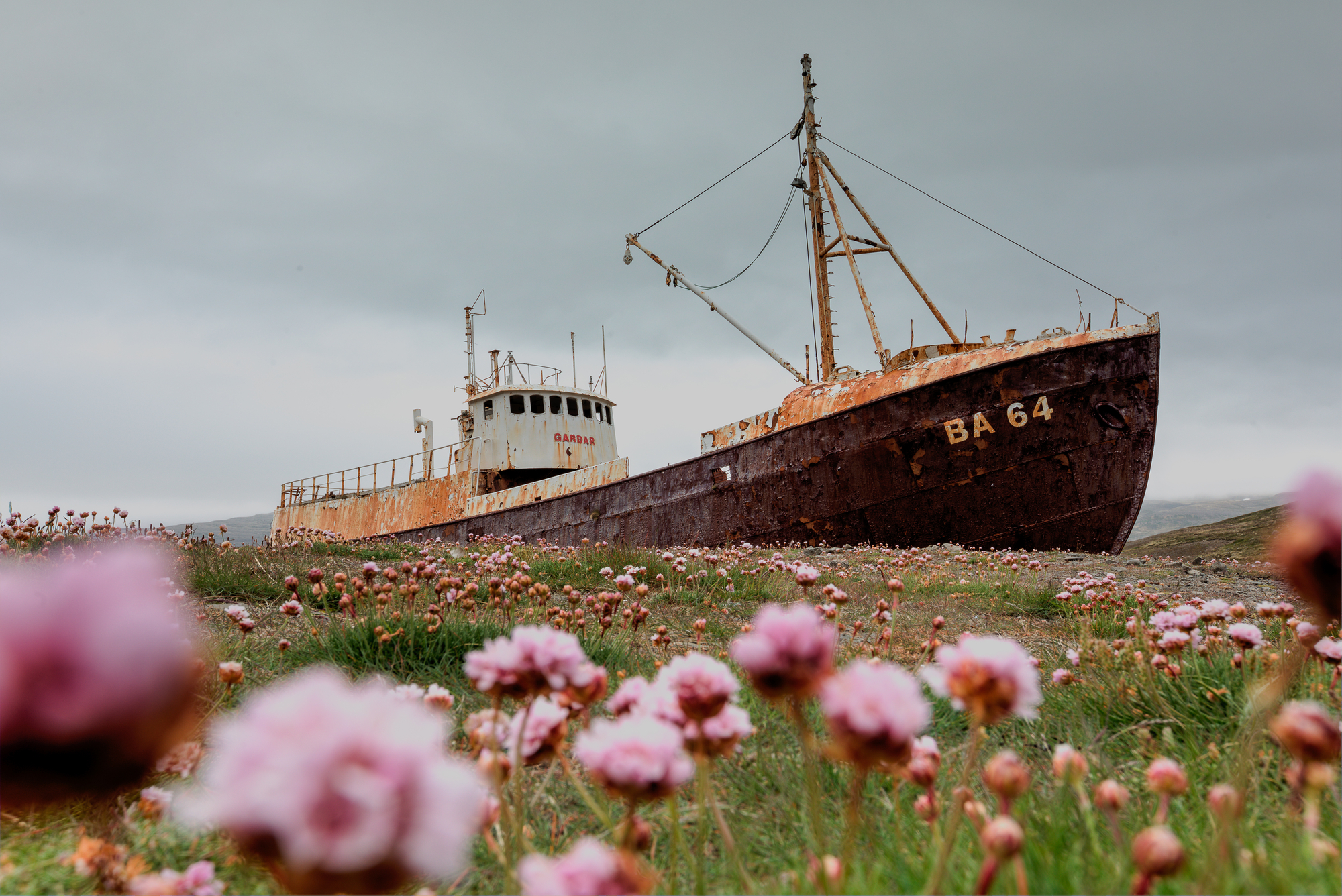 Фото покинутий корабель у полі квітів Мегалофобія