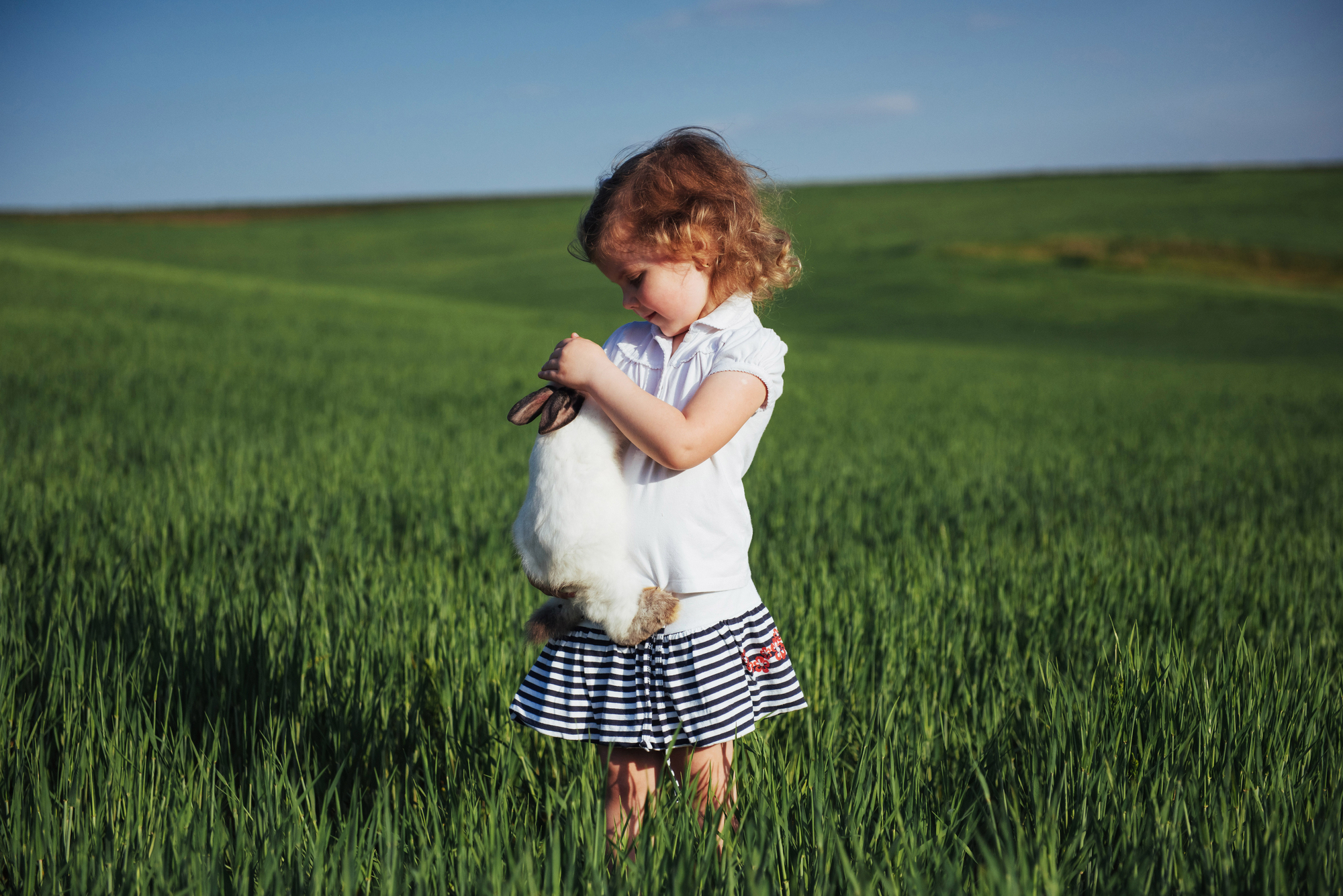 Фото дівчинка з кроликом у полі