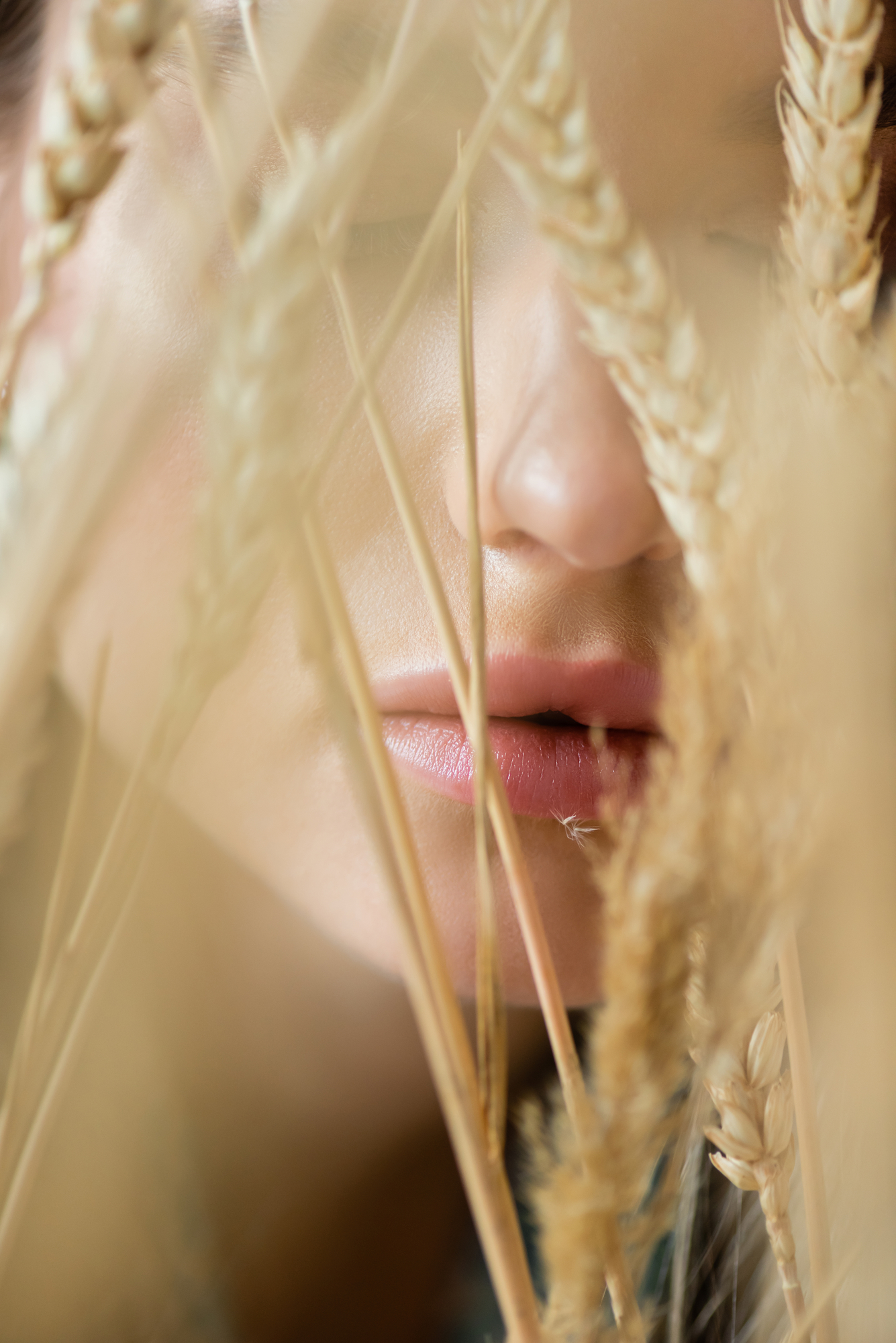 Фото дівчина з колосками пшениці