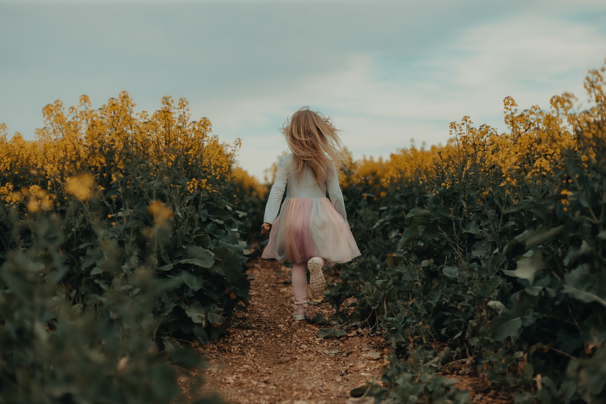 Фото дівчинка біжить у полі 