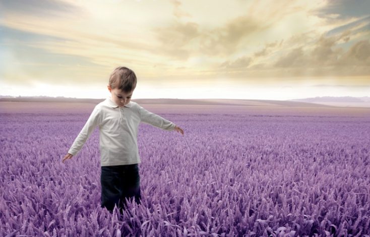 Lavender field © Depositphotos