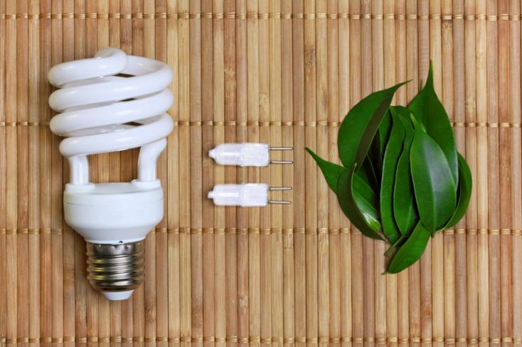 Eco energy concept with light bulb © Depositphotos