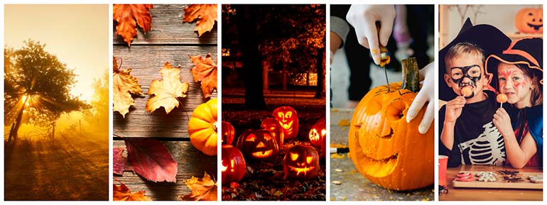 fall-and-halloween-featured-collection-halloween-photos