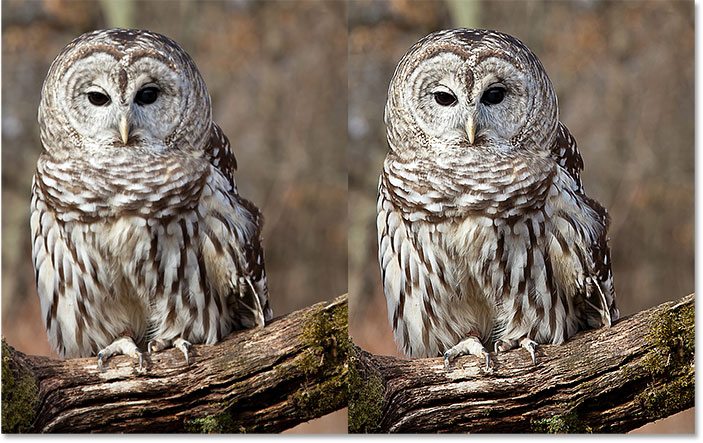 image-sharpening-before-after