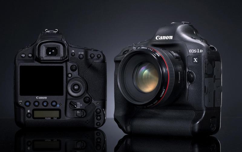 Canon-1Dx-wildlife-photography-gear-essentials