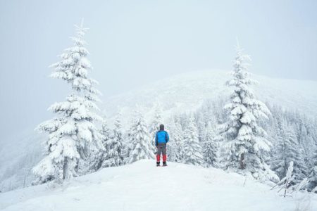 stock photos of winter