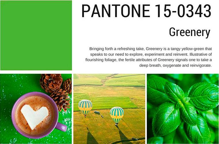 Trendy-Pantone-Photo-Selection-for-Your-Website