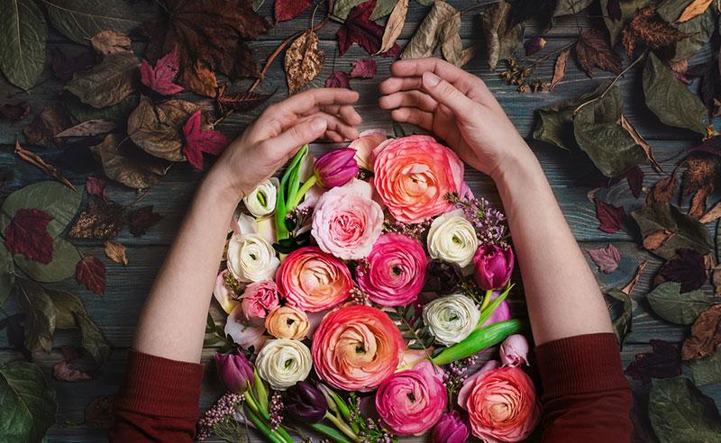 Dina Belenko photography flowers