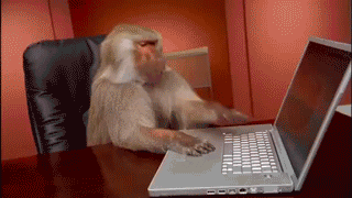 funny gifs office monkey