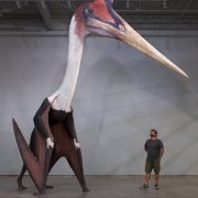 Quetzalcoatlus northropi model next to a 1.8m man. The largest known flying animal to ever exist