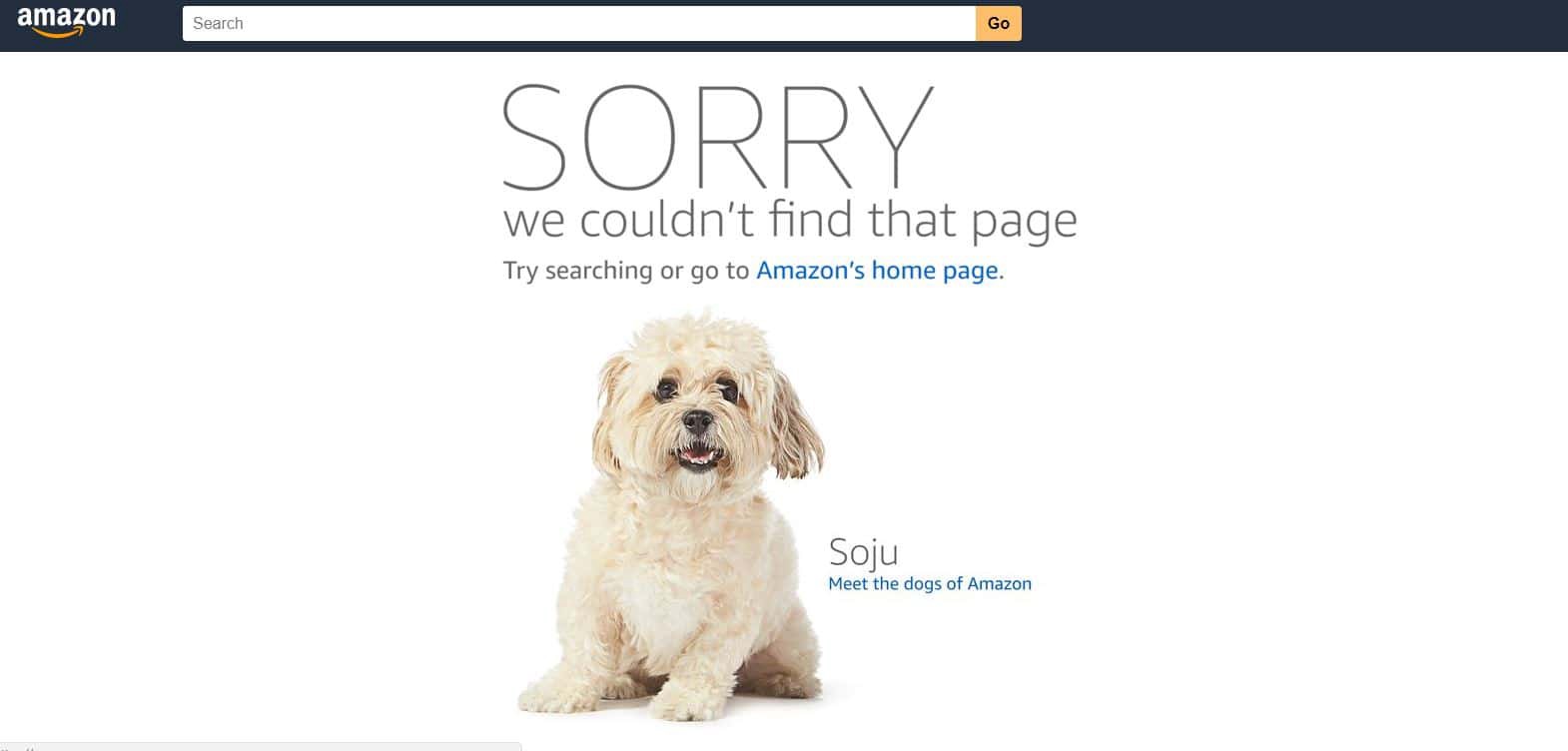 amazon 404 error page
