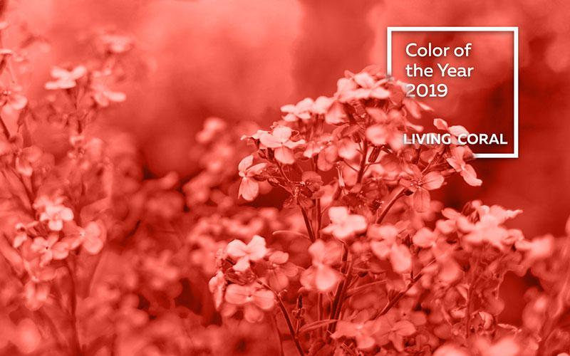 Pantone's Living Coral color of the year 2019