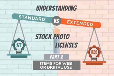 Understanding Standard vs Extended Licenses for Digital Use