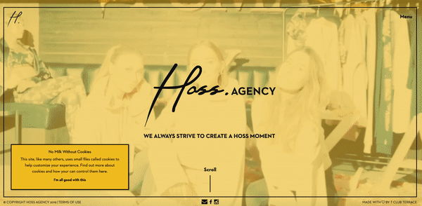 hoss website design for your inspiration