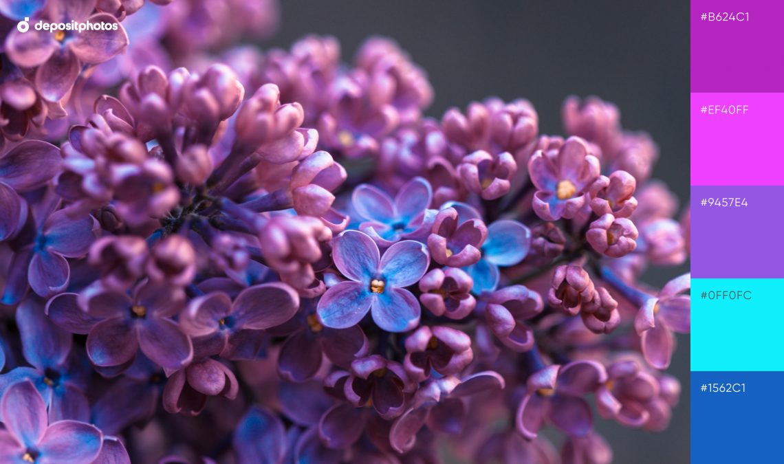 Neon color palette #4 - Gentle Lilac