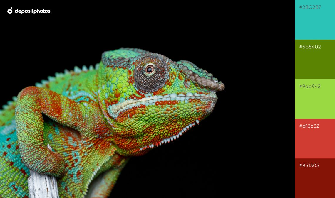 Neon color palette #28 - Extraordinary   Chameleon