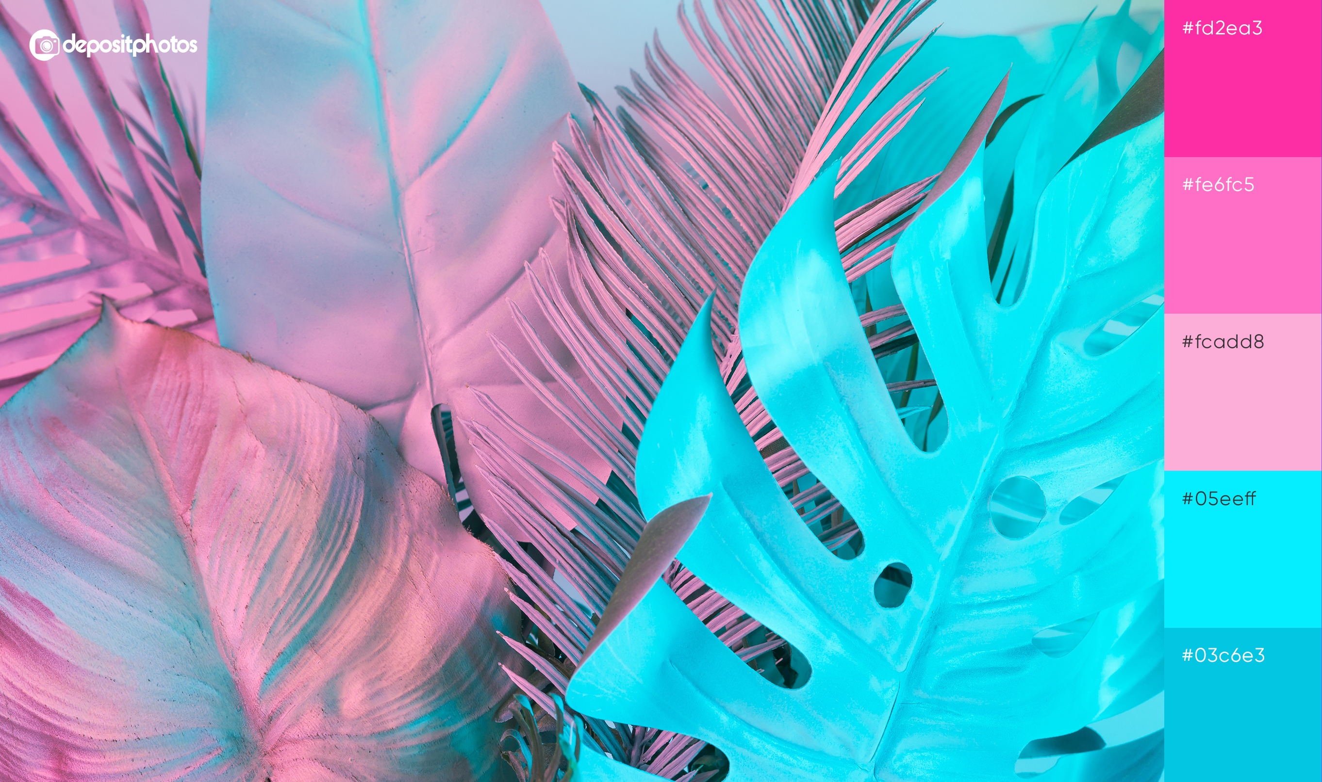 colored palm leaves