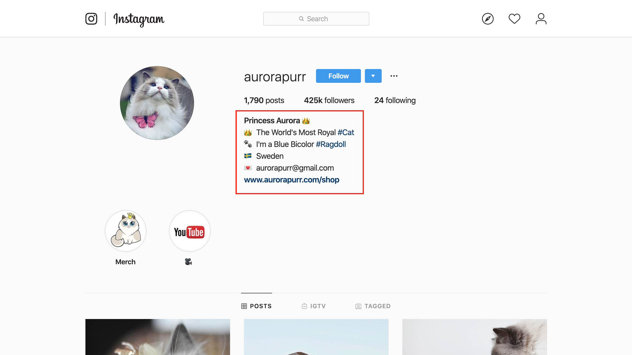 7 Tips To Make Your Pet Instagram Famous - Depositphotos Blog