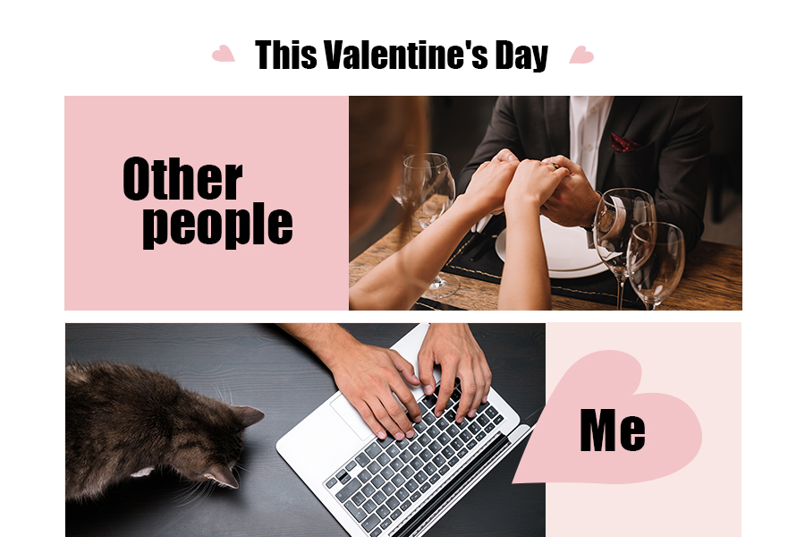 "This Valentine's Day. Other people: Me: "