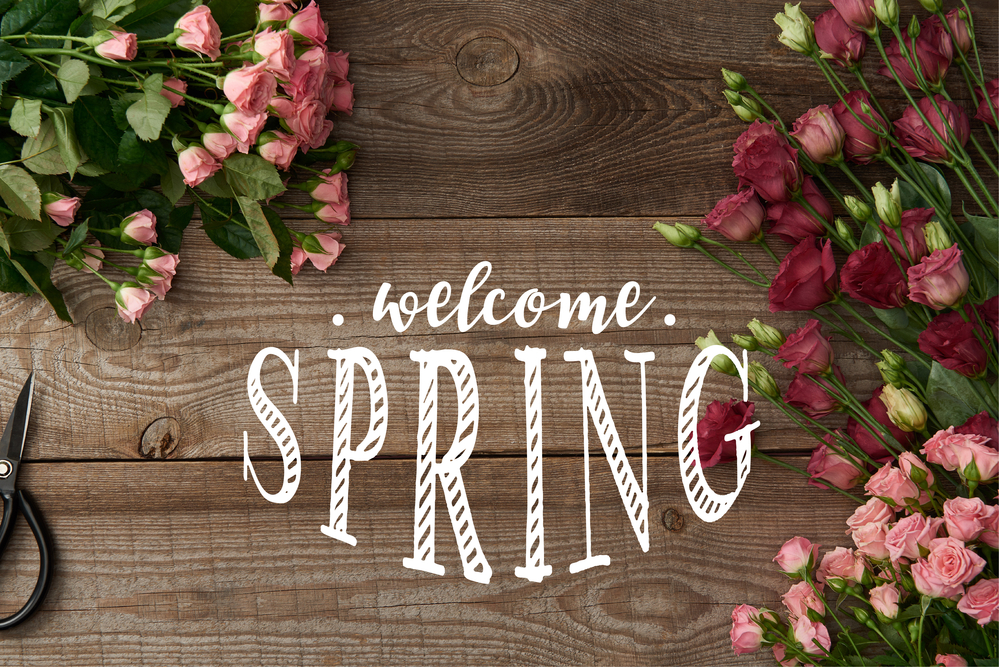 welcome spring vector