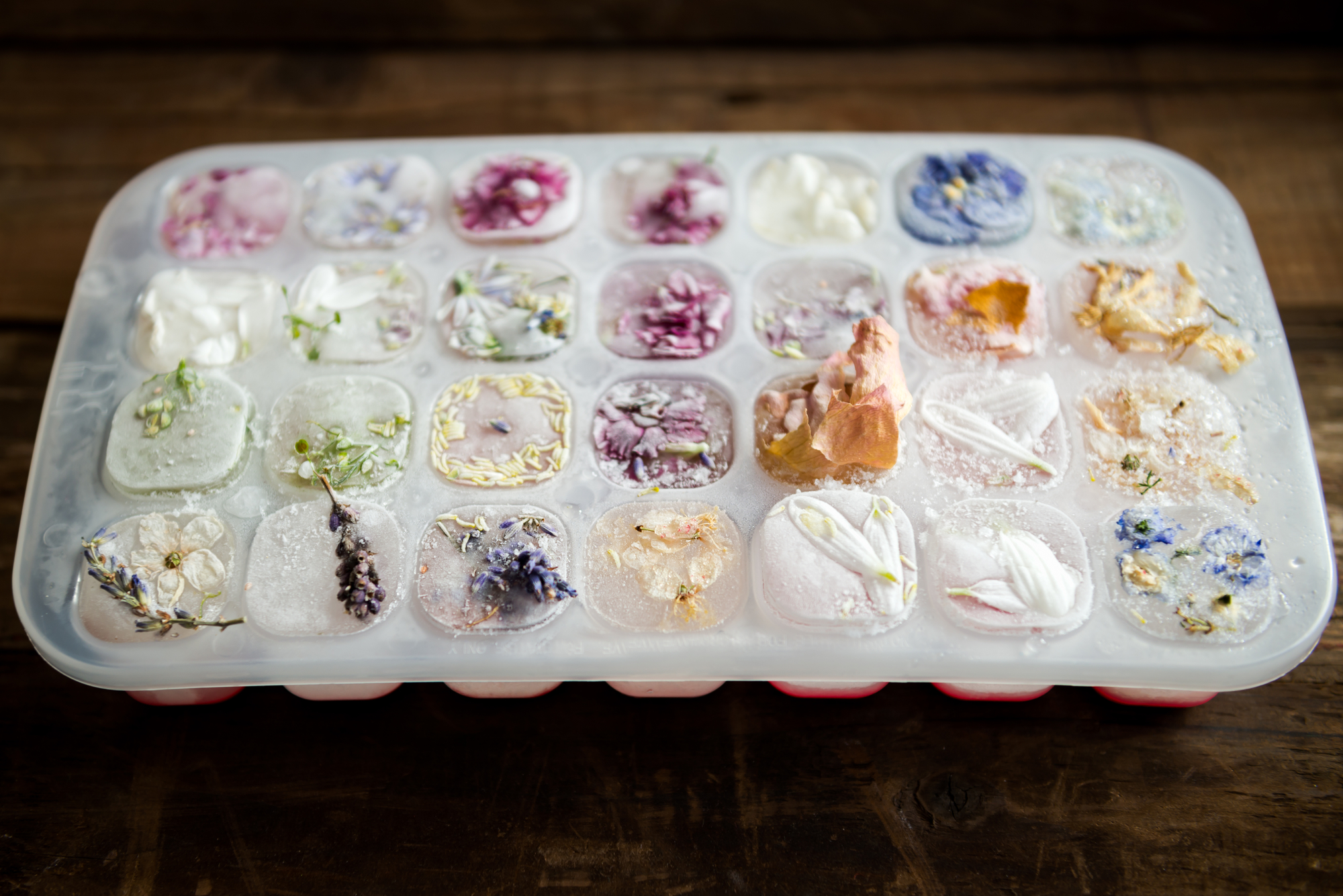 stock photo of Frozen Flowers in Ice Cubes
