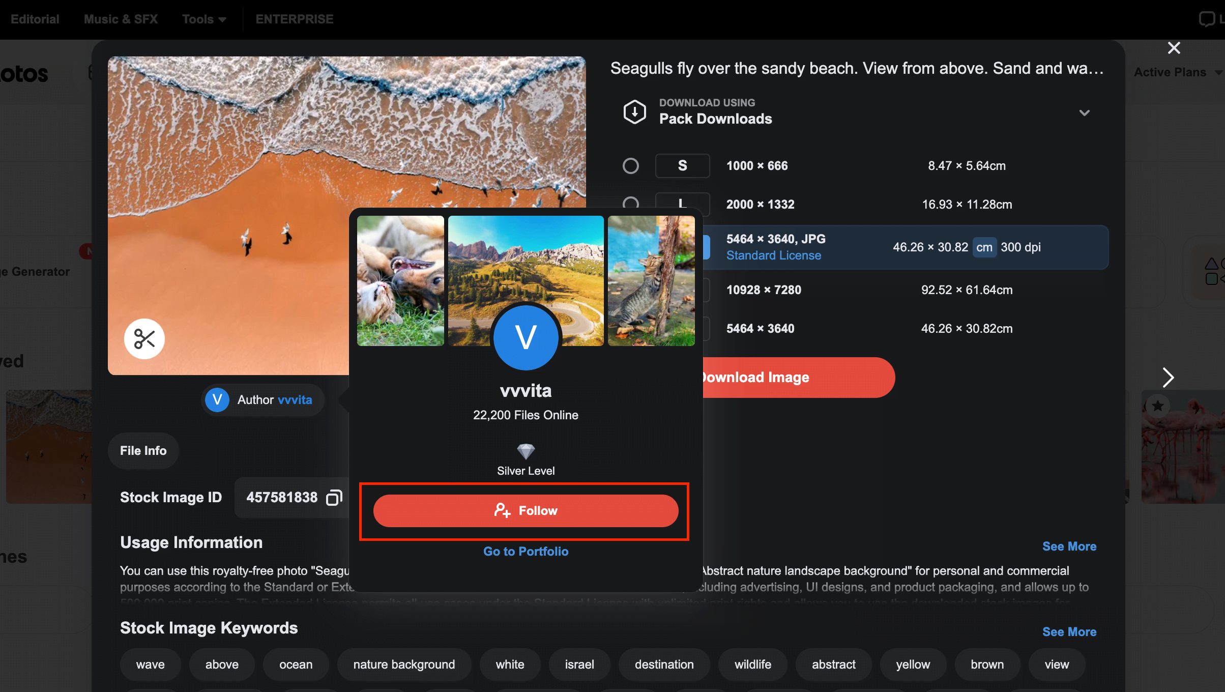 Your Complete Guide to Depositphotos Search [Updated in 2024] 