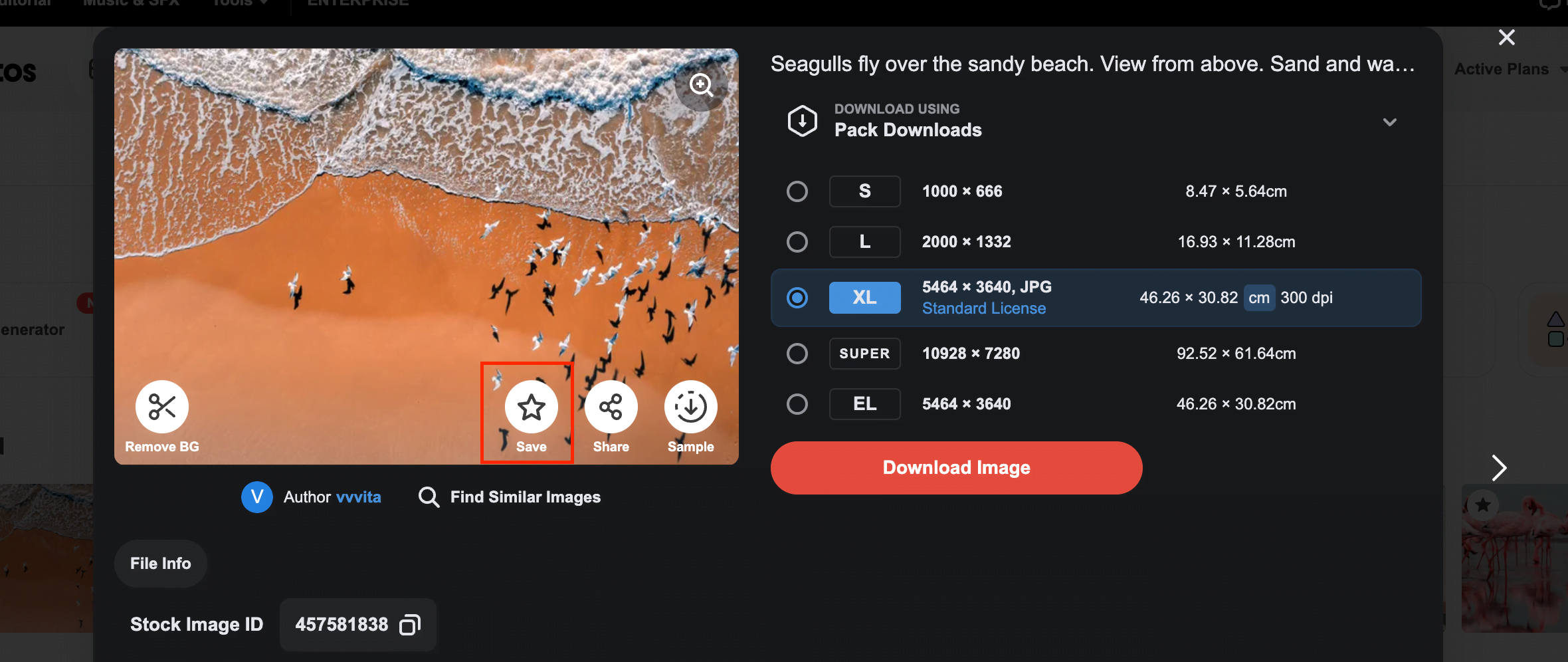 Your Complete Guide to Depositphotos Search [Updated in 2024] 