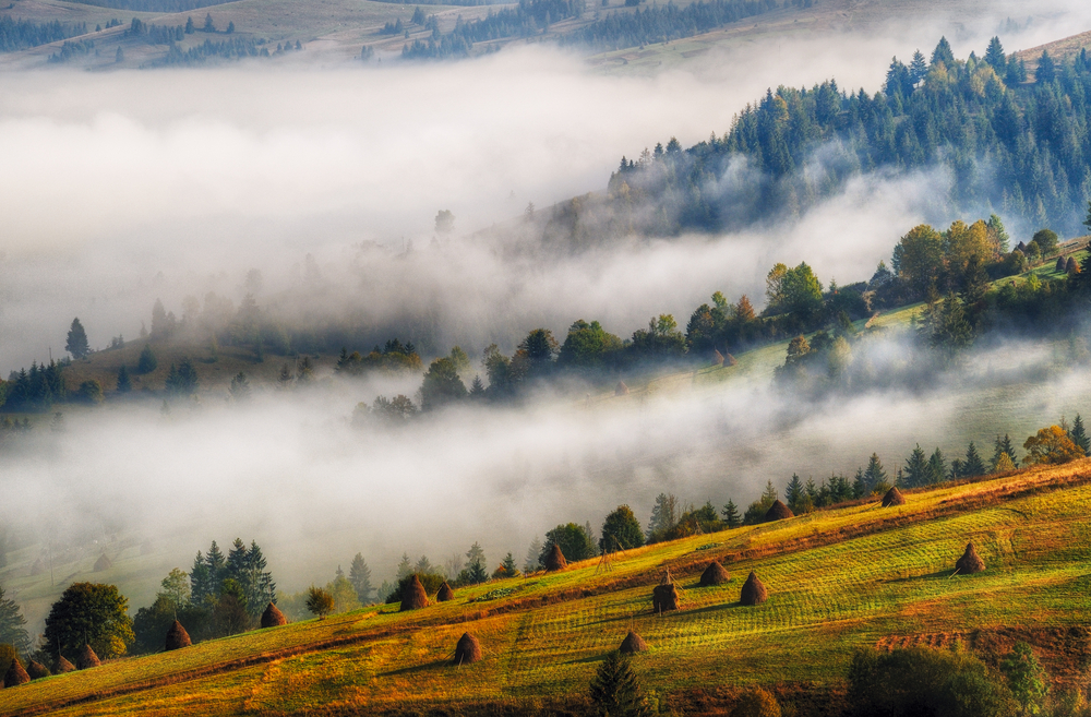 Фотографія туманний ранок у Карпатах восени