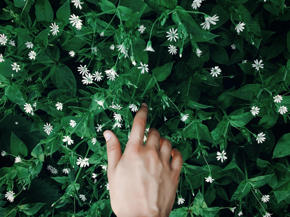 Фотографія рука на фоні зеленої трави з квітами
