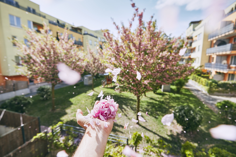 Фотографія квіти сакури у руці розлітаються від вітру