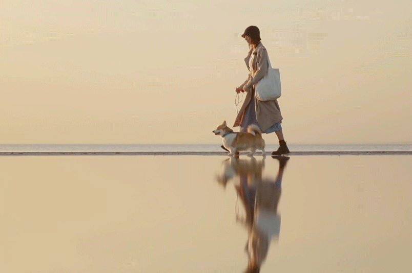 stock video spring walking dog girl water