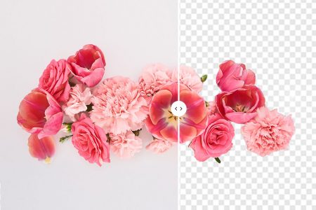 Remove Image Backgrounds In a Click With the Depositphotos Free Tool