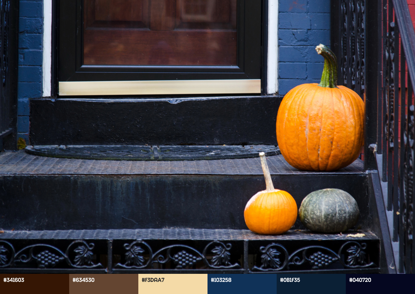 Fall color palettes for trendy designs