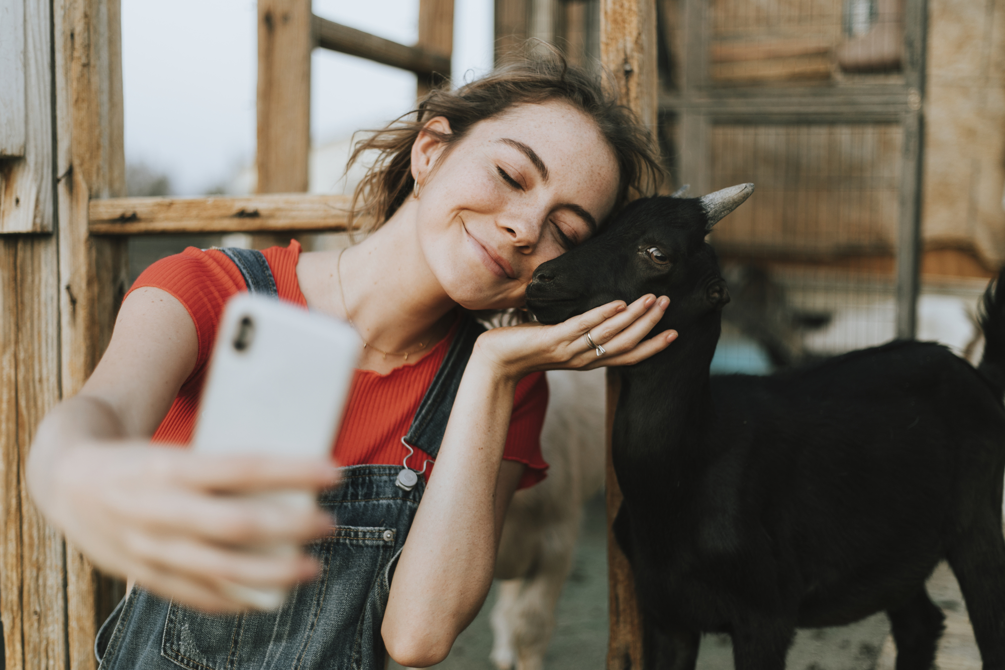 Menina feliz tirando uma selfie com uma cabra bebê preto