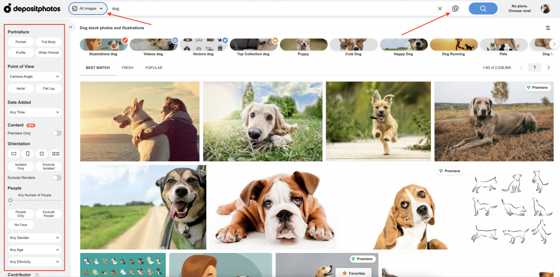 Depositphotos content search navigation filters