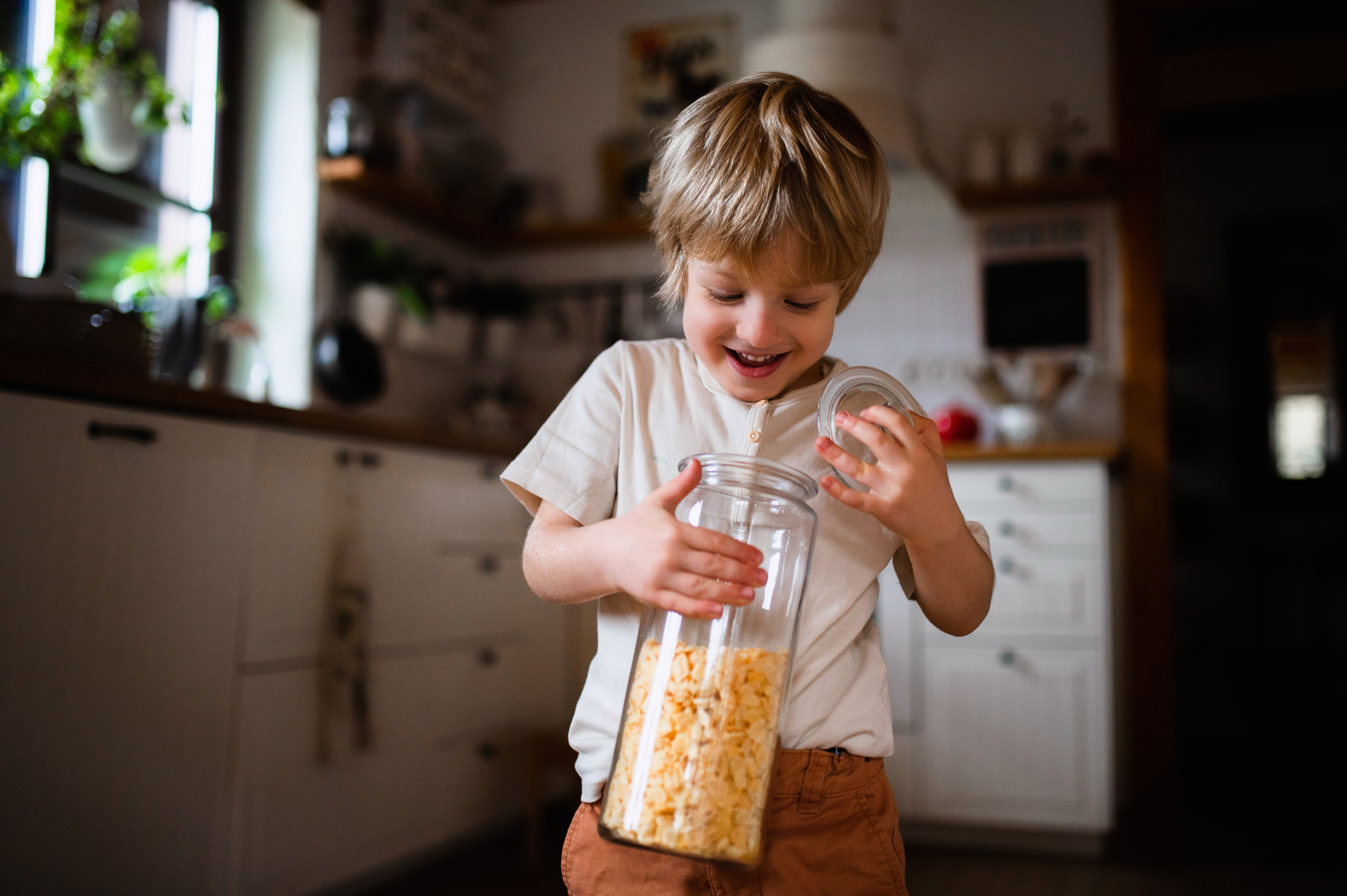 Portrait of cute small boy holding container with cornflakes indoors at home.