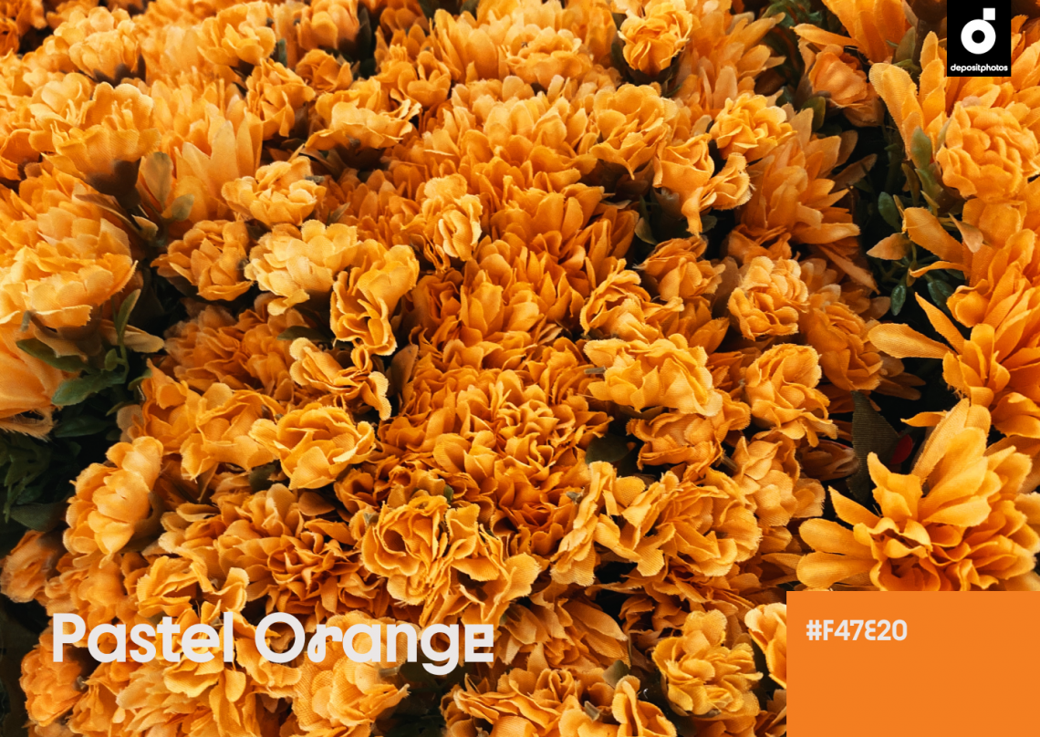 Fall Color Trends 2022 Pastel Orange