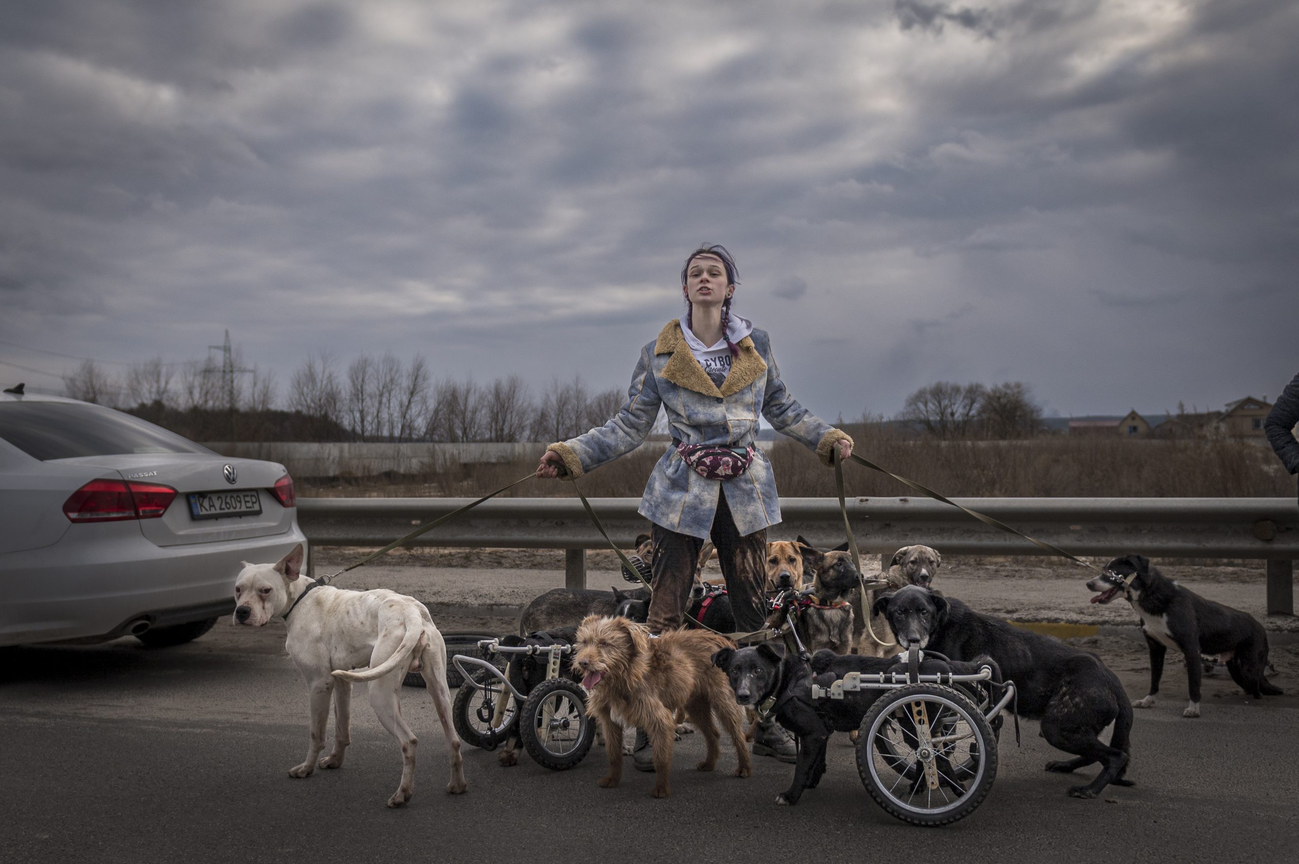 Photo a girl evacuates disabled dogs during war in Ukraine