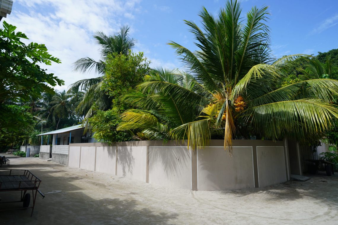 Фотографія тропічний сад з пальмами