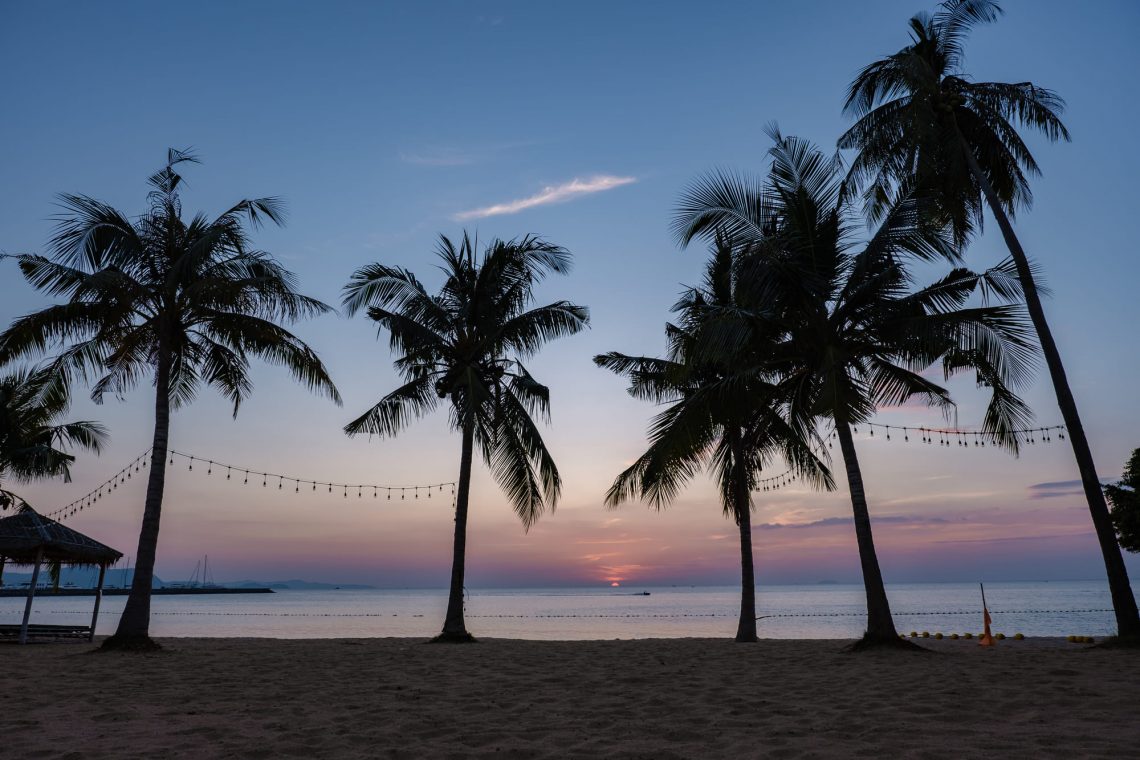 Фотографія тропічні пальми на березі океану